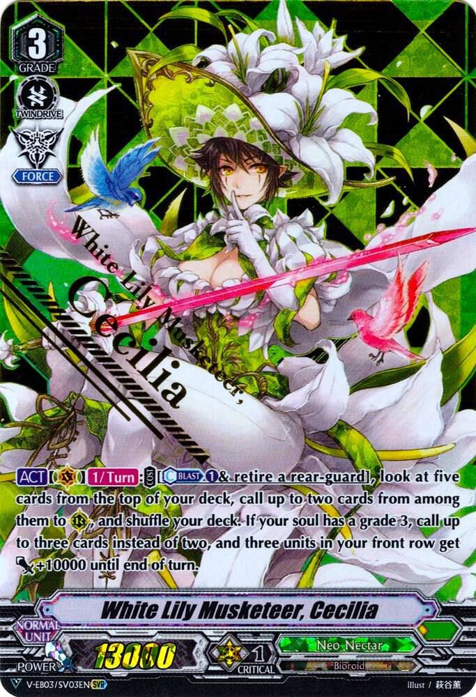 White Lily Musketeer, Cecilia (SVR)