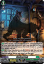 Shadowcloak (RRR)