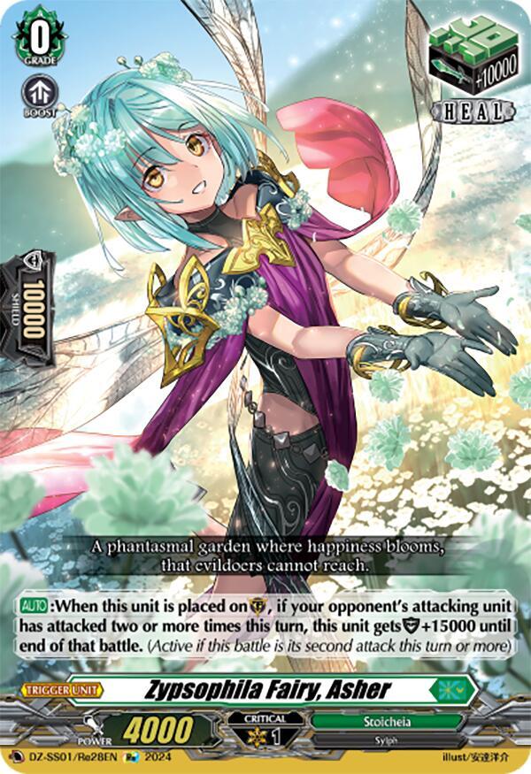Zypsophila Fairy, Asher (Re)