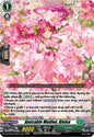 Amicable Maiden, Alvina (RRR)